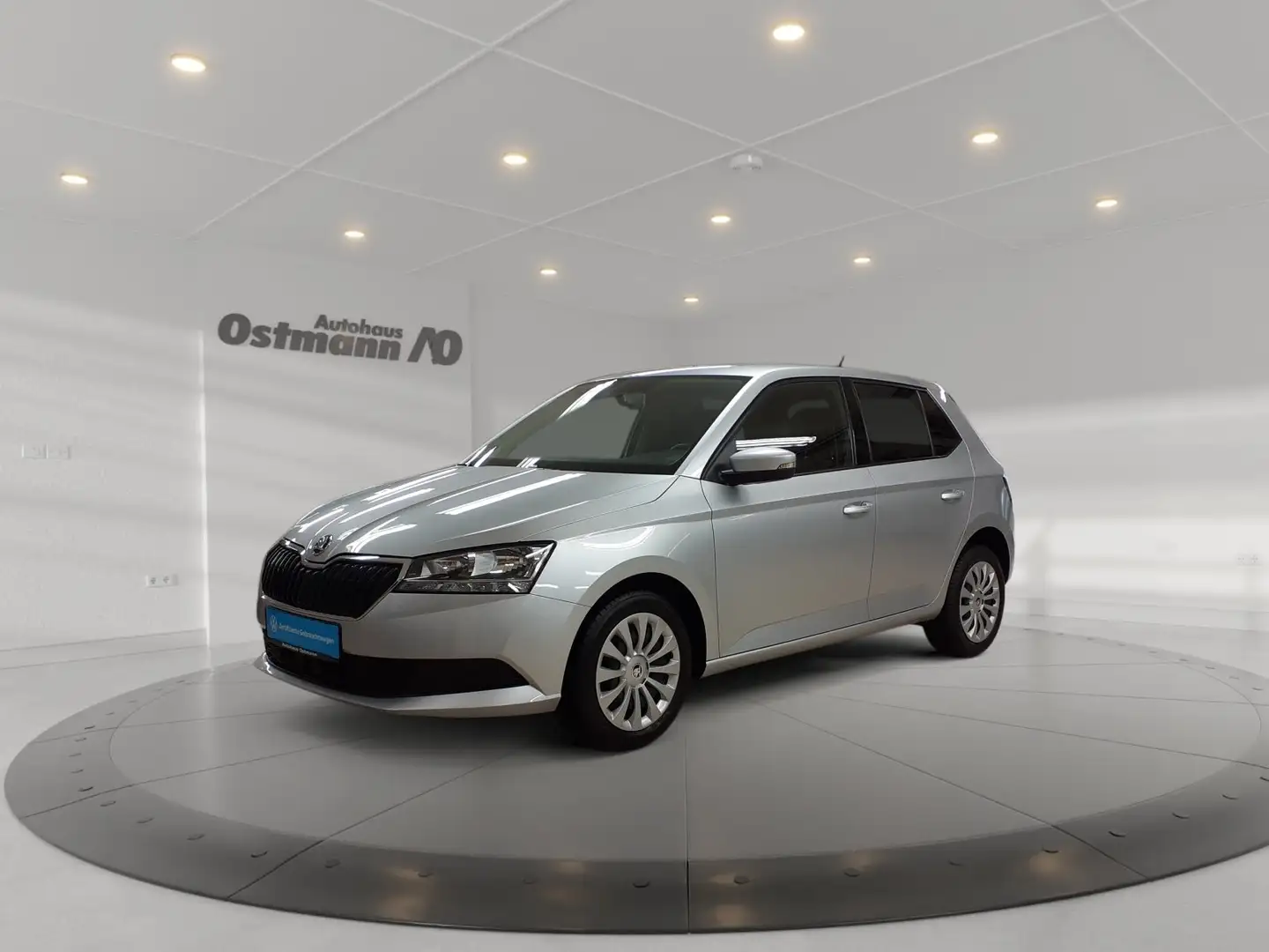 Skoda Fabia 1.0 TSI Ambition PDC*Smart-Link*Sitzh*Navi* Silber - 1