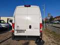 Citroen Jumper Frigo FRCX 20° maxi L3H3 BlueHDi 165 Wit - thumbnail 8
