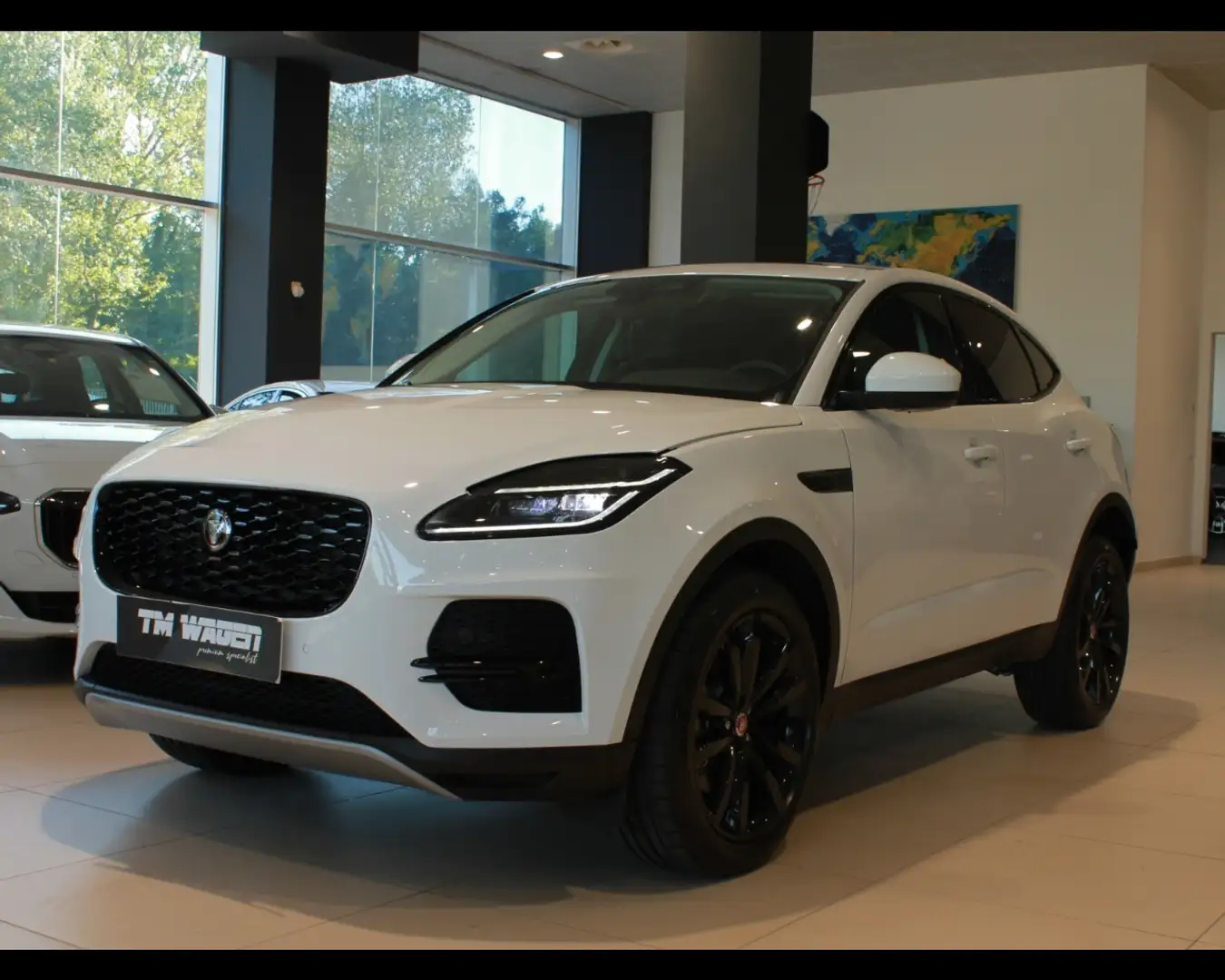 Jaguar E-Pace (X540) - E-Pace 1.5 I3 160CV Auto SE 2023 *KM 0* Bianco - 1