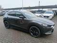 Mazda CX-30 CX-30 2.5 m-hybrid Advantage 2wd 140cv 6mt Grigio - thumbnail 22