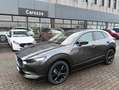 Mazda CX-30 CX-30 2.5 m-hybrid Advantage 2wd 140cv 6mt Grigio - thumbnail 11