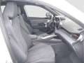 CUPRA Terramar 2.0 TSI 4Drive DSG Pano AKEBONO Weiß - thumbnail 15
