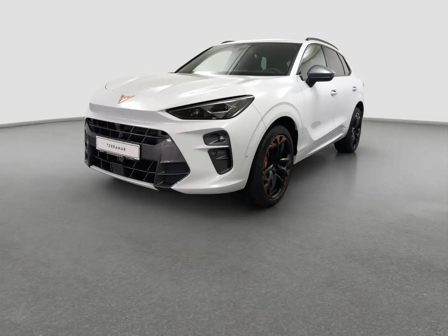 CUPRA Terramar 2.0 TSI 4Drive DSG Pano AKEBONO Weiß - 2