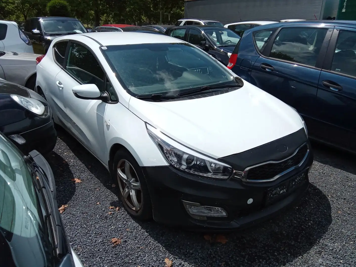 Kia ProCeed / pro_cee'd ProCeed Edition 7 Weiß - 2