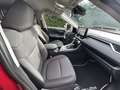 Toyota RAV 4 2.5 4x2 Hybrid Team Deutschland Red - thumbnail 6