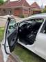 Kia Ceed / cee'd Ceed / cee'd 1.0 T-GDi GT-Line Wit - thumbnail 14