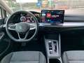 Volkswagen Golf VIII 2024 2.0 TDI Edition Plus 150cv DSG - thumbnail 10