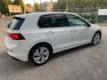 Volkswagen Golf VIII 2024 2.0 TDI Edition Plus 150cv DSG - thumbnail 6