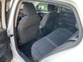 Volkswagen Golf VIII 2024 2.0 TDI Edition Plus 150cv DSG - thumbnail 16