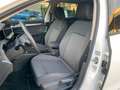 Volkswagen Golf VIII 2024 2.0 TDI Edition Plus 150cv DSG - thumbnail 15