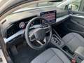 Volkswagen Golf VIII 2024 2.0 TDI Edition Plus 150cv DSG - thumbnail 14