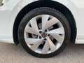Volkswagen Golf VIII 2024 2.0 TDI Edition Plus 150cv DSG - thumbnail 9