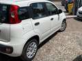 Fiat Panda Panda III 2016 1.2 Easy easypower Gpl 69cv my19 Bianco - thumbnail 3