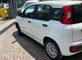 Fiat Panda Panda III 2016 1.2 Easy easypower Gpl 69cv my19 Bianco - thumbnail 4