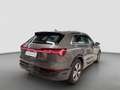 Audi Q8 e-tron advanced 50 qu. PANO HUD AHK Matrix 19 Grau - thumbnail 3
