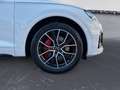 Audi SQ5 TDI quattro Matrix/Head-up/Pano/Kamera/Assis Weiß - thumbnail 12