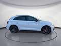 Audi SQ5 TDI quattro Matrix/Head-up/Pano/Kamera/Assis Weiß - thumbnail 6