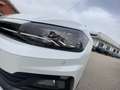 Volkswagen Polo Polo 5p 1.6 tdi Highline 95cv dsg Weiß - thumbnail 22