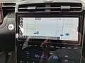 Hyundai TUCSON Tucson III 2021 1.6 crdi Exellence LeatherPack 2wd Grigio - thumbnail 12