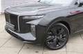 Hongqi E-HS9 President 99 kWh | Luchtvering | 465KM WLTP | Pano Schwarz - thumbnail 19