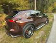 Lexus NX 300h Executive-Line - thumbnail 13