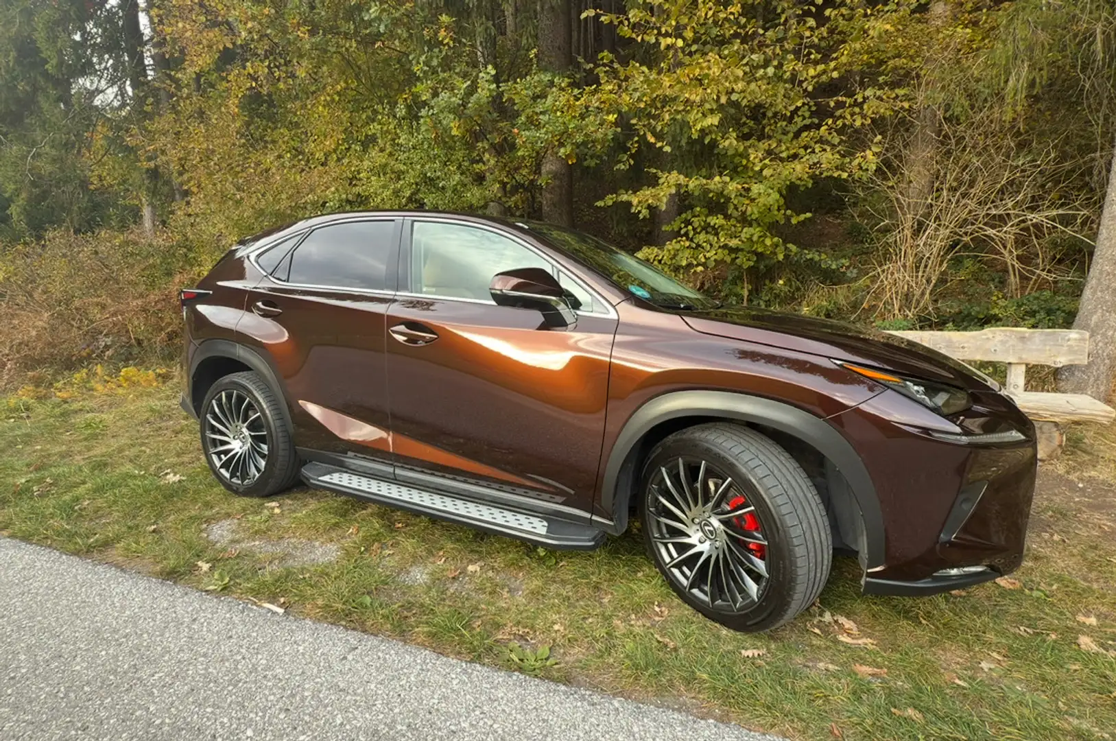 Lexus NX 300h Executive-Line - 1