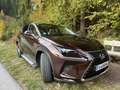 Lexus NX 300h Executive-Line - thumbnail 4