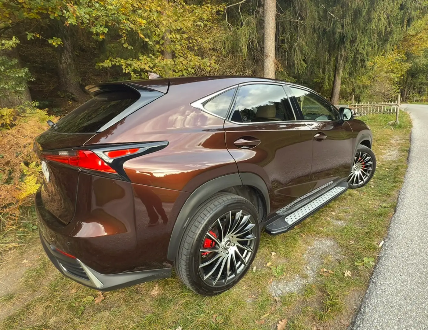 Lexus NX 300h Executive-Line - 2