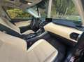 Lexus NX 300h Executive-Line - thumbnail 12