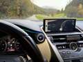 Lexus NX 300h Executive-Line - thumbnail 16