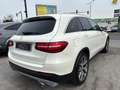 Mercedes-Benz GLC 350 d 4MATIC Allrad Automatik 258PS mit PICKERL 02/27 Weiß - thumbnail 4