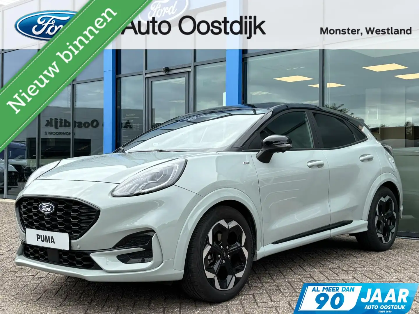 Ford Puma 1.0 EcoBoost Hybrid ST-Line X 125PK NIEUW MODEL!! Grijs - 1