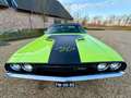 Dodge Challenger 392 Hemi Grün - thumbnail 4