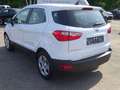 Ford EcoSport 1.0 Trend Inspektionspaket BigDeal! Weiß - thumbnail 8