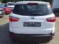 Ford EcoSport 1.0 Trend Inspektionspaket BigDeal! Weiß - thumbnail 19