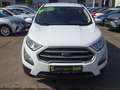 Ford EcoSport 1.0 Trend Inspektionspaket BigDeal! Weiß - thumbnail 6