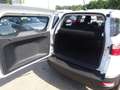 Ford EcoSport 1.0 Trend Inspektionspaket BigDeal! Weiß - thumbnail 20
