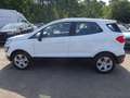 Ford EcoSport 1.0 Trend Inspektionspaket BigDeal! Weiß - thumbnail 7