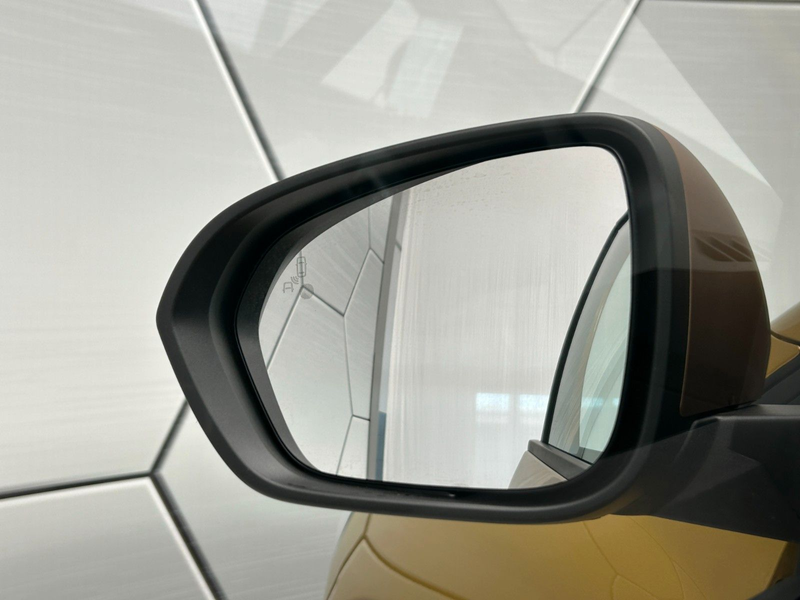 Dacia Sandero Stepway Extreme ECO-G 120 auto — photo 13