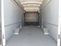 Ford Transit 2.2 tdci 170 cv furgone maxi BELLISSIMO!!! Blanc - thumbnail 6