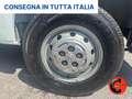 Fiat Ducato (PEUGEOUT BOXER)2.2 BHDi 140 CV PM-TM-L2H2 SENSORI Bianco - thumbnail 20