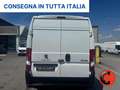 Fiat Ducato (PEUGEOUT BOXER)2.2 BHDi 140 CV PM-TM-L2H2 SENSORI Bianco - thumbnail 6