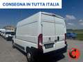 Fiat Ducato (PEUGEOUT BOXER)2.2 BHDi 140 CV PM-TM-L2H2 SENSORI Bianco - thumbnail 5