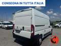 Fiat Ducato (PEUGEOUT BOXER)2.2 BHDi 140 CV PM-TM-L2H2 SENSORI Bianco - thumbnail 7