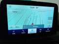 Ford Kuga 1.5 EcoBlue 120 CV aut. 2WD ST-Line X Grigio - thumbnail 13