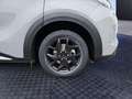 Ford Tourneo Custom Tourneo Custom 340 PHEV L1H1 VA Active (V710) Gris - thumbnail 16