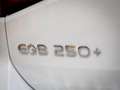 Mercedes-Benz EQB 250 Business Line 7p Wit - thumbnail 14