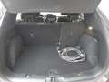 Ford Kuga Plug-In Hybrid Titanium X Gris - thumbnail 6