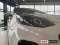 Kia Sportage GT-Line 4WD 1.6 T-GDi DCT 360 Grad Kamera Leder Na Weiß - thumbnail 14