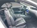 Ford Mustang Ford Mustang Convertible GT Xenon+Tempo+Kamera Weiß - thumbnail 13